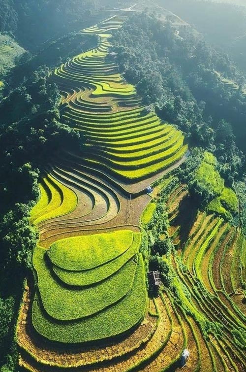 SRI-LANKA-Landscape-Architecture